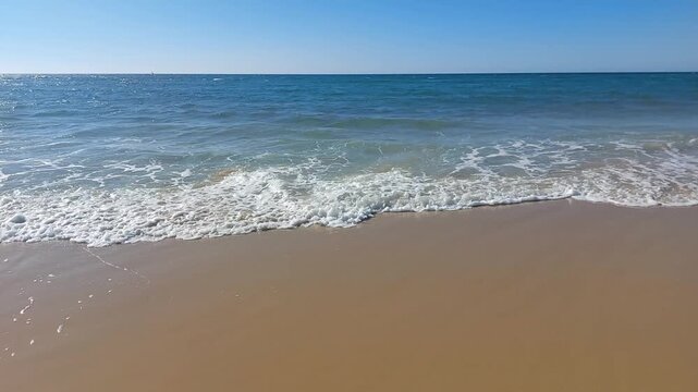  La plage de Messanges  entre for&ecirc;t landaise et oc&eacute;an. Landes - Aquitaine
