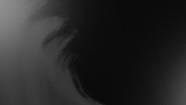 Soft grayscale blur merges light with shadow. Formless shapes suggest motion or breath. Mood evokes mystery, quiet introspection. Ideal for abstract backgrounds or mood settings