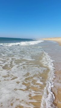  La plage de Messanges  entre for&ecirc;t landaise et oc&eacute;an. Landes - Aquitaine