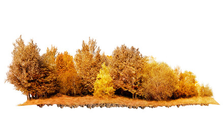 Obraz premium autumn tree line forest with dry grass isolated on transparent background