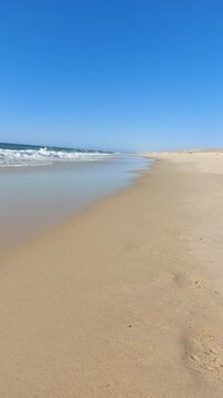  La plage de Messanges  entre for&ecirc;t landaise et oc&eacute;an. Landes - Aquitaine