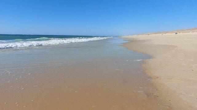  La plage de Messanges  entre for&ecirc;t landaise et oc&eacute;an. Landes - Aquitaine