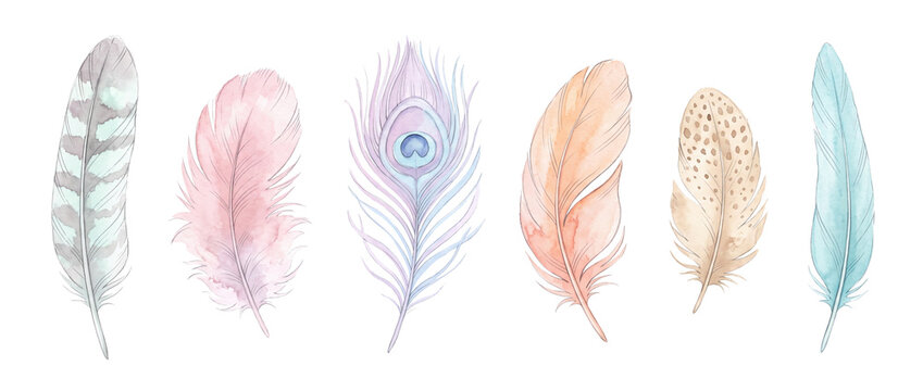 Watercolor feather set isolated illustration featuring soft pastel plumage boho peacock feathers on black background for wedding invitation craft design decoration element pattern watercolor art