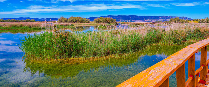 Tablas de Daimiel National Park, Daimiel, Ciudad Real, Castilla La Mancha, Spain, Europe