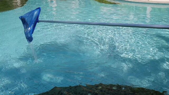 Swimming pool maintenance worker using blue net skimmer to clean surface water from leaves and debris.