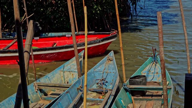 Traditional wooden boats anchored at the edge of a tropical mangrove swamp during a sunny day