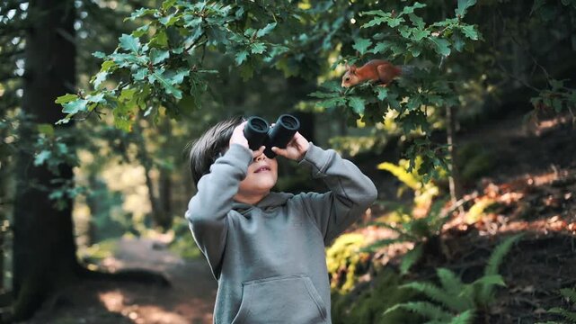 Spotting movement, child in hoodie raising black binoculars on mossy trail, watching red squirrel