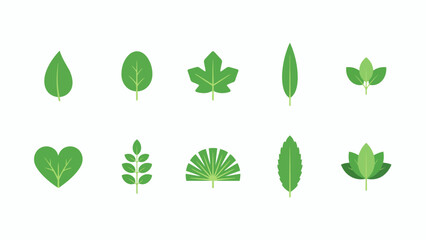 Fototapeta premium A collection of green leaf illustrations showcases diverse botanical shapes and styles leaves foliage flora greenery plantlife vector graphic