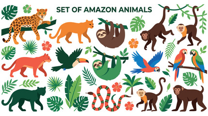 Fototapeta premium Set of amazon animals like leopard jaguar and toucan with tropical plants and flowers.