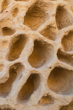Limestone texture with eroded and rounded cavities in a honeycomb pattern