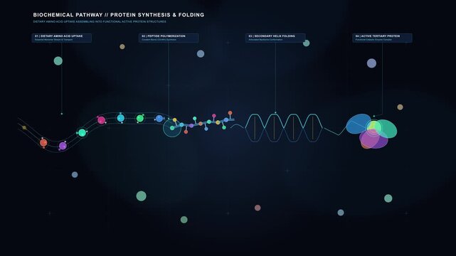 Animation of DNA strand, genetic code, and cell division for science concepts