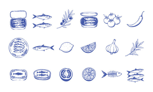 Sardine Seafood Mediterranean Food Hand Drawn Collection.