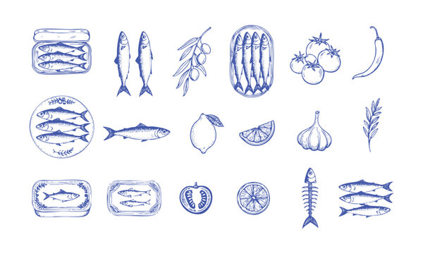 Fresh Sardines Seafood and Mediterranean Culinary Food Set.