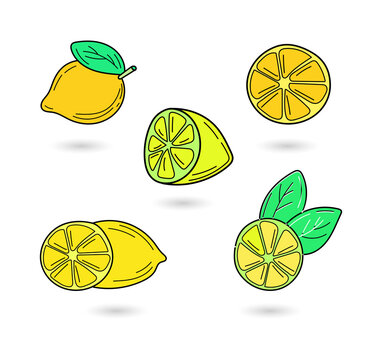 Lemon slices and whole lemons illustration for food and drink design on transparent background
