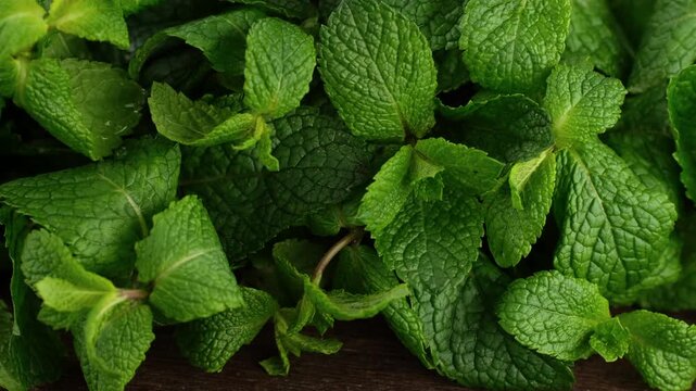 Fresh mint green leaves close up, slider view