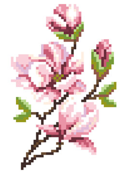 Pixel art pink magnolia flowers branch