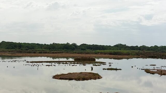 Zone naturelle du Teich - Gironde - Nouvelle Aquitaine