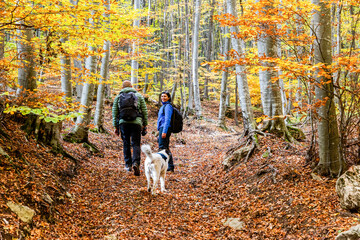 Fototapeta premium couple in autumn forest with dog