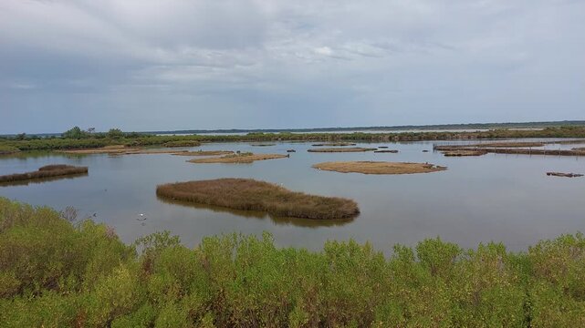 Zone naturelle du Teich - Gironde - Nouvelle Aquitaine