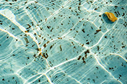 A close-up view of the detailed texture of the water in a pool or fountain, illuminated by the sun's rays	
