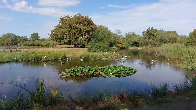 Zone naturelle du Teich - Gironde - Nouvelle Aquitaine