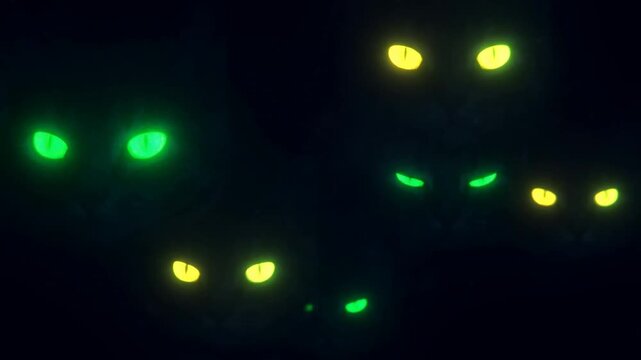 Glowing Cat Eyes in the Dark &mdash; Spooky Halloween Background, 4K Seamless Loop