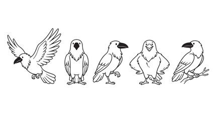 Obraz premium Minimalist black and white crow vector set, hand drawn raven character collection, 5 cartoon bird icons for coloring and logo design isolated on Transparent Background