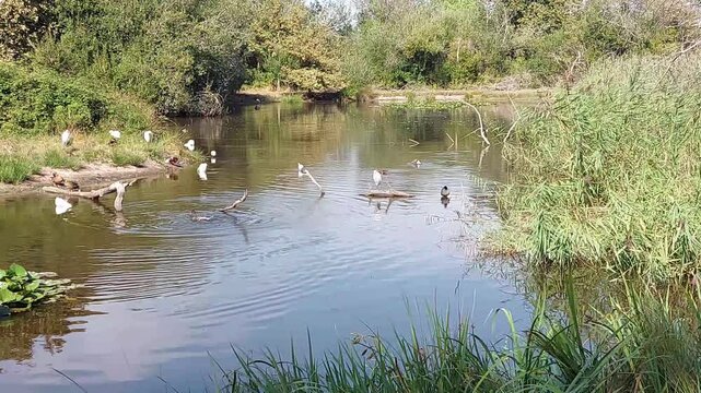 Zone naturelle du Teich - Gironde - Nouvelle Aquitaine
