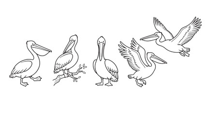 Fototapeta premium Cute alpaca line art collection, set of 5 llama character vectors. Minimalist hand drawn alpaca illustrations for coloring books and nursery decor. isolated on Transparent Background