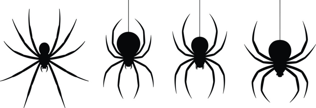 Set of black spider silhouettes hanging on web threads isolated on white background