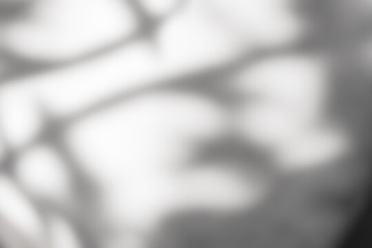 Abstract soft light and blurred shadow on white background, Monochrome gray gradient texture from window reflections,Minimal grey backdrop for overlay on interior muck up presentation,design template