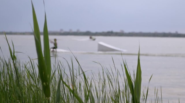 Tall green reeds sway in the foreground as an athlete wakeboards near a white kicker ramp on an open lake. Soft overcast lighting creates a calm mood suitable for outdoor lifestyle edits.