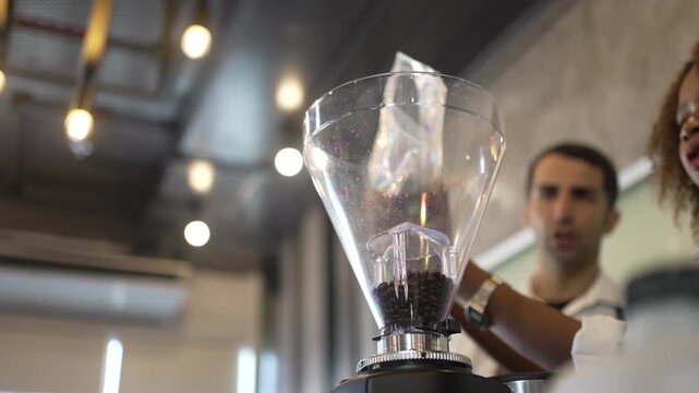 Barista trainee pouring roasted coffee beans into a grinder hopper
