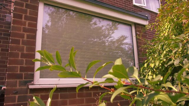 View of house window with blinds through view of trees