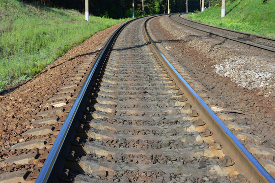 Railway Tracks Curving Through Forest Landscape, low angle view