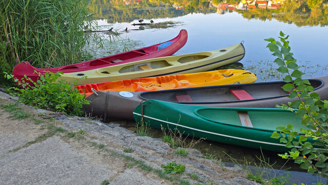 Five colorful canoes moored side by side on a concrete riverbank next to green reeds and calm water reflecting riparian trees and houses