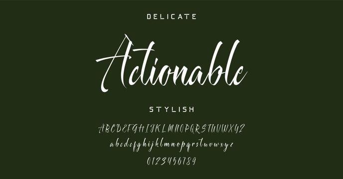 Hand drawn vector alphabet. Modern monoline signature script font. Elegant Signature Font. Best Alphabet Beautiful Calligraphy Signature Font