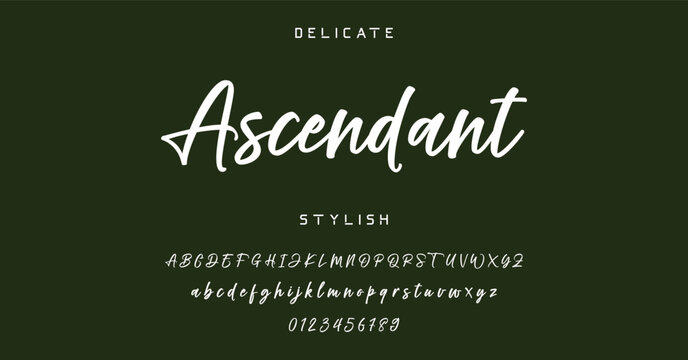 Hand drawn vector alphabet. Modern monoline signature script font. Elegant Signature Font. Best Alphabet Beautiful Calligraphy Signature Font