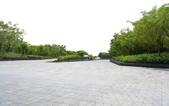 Paved area extending towards green park with trees