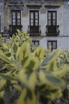 Weathered fa&ccedil;ade of an empty house in Garachico, characterized by crumbling plaster, old wooden doors and wrought-iron balconies, a silent testimony of past times, Garachico, Tenerife, Canary Islands, Spain