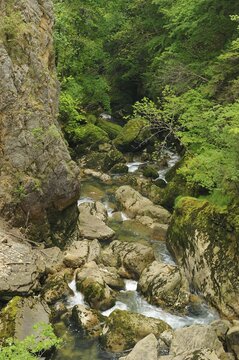 Gorges de l'Areuse, Areuse Gorge, Neuch&acirc;tel, Jura, Switzerland, Europe