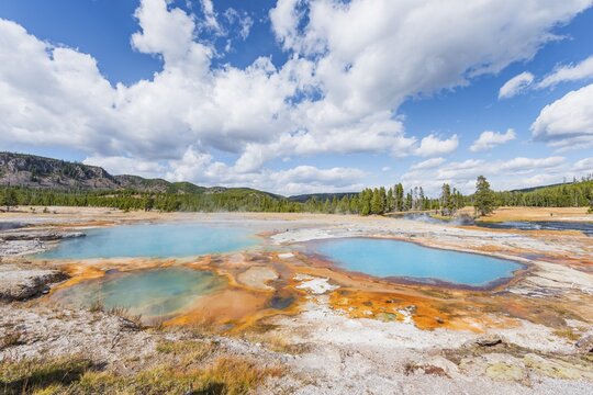 Black Opal Pool, Hot Spring, Yellow Algae and Mineral Deposits, Biscuit Basin, Yellowstone National Park, Wyoming, USA