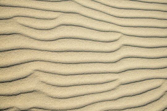 Wave patterns in light sand, Sandfly Bay, Dunedin, Otago, Otago Peninsula, South Island, New Zealand