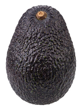 Whole Hass Avocado with Textured Skin and Stem