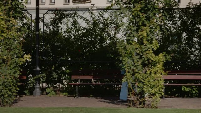 A female student walks along a path, holding a laptop in her hand. Benches line the walkway, and greenery surrounds the area. It looks like a campus or park setting.