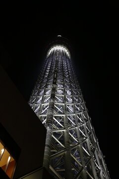 The illuminated Tokyo Skytree stands against the black night sky.