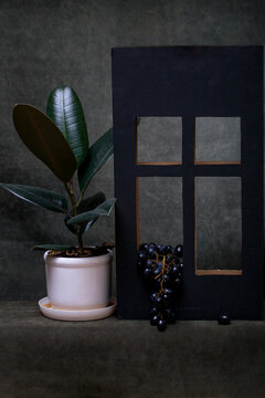 Still life with a ficus tree and ripe grapes by the window.