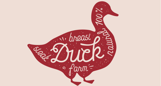 Duck, drawn, lettering. Silhouette bird, lettering Duck, meat poster. Duck poultry meat, poultry meat symbol. Graphic style, farm industry packaging branding design. Vector Illustration