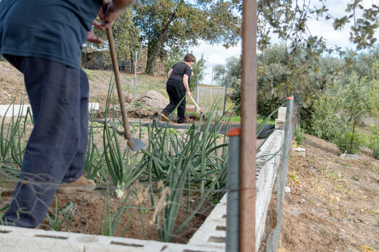 Agricultural workers tend to their vegetable garden.