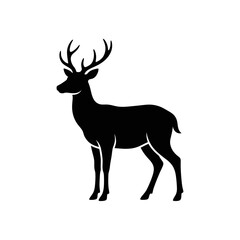 Fototapeta premium Silhouette of a Majestic Deer with Antlers Standing.